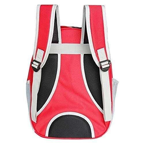 ZooZoo Breathable & Spacious Pet Cat Backpack (400g) - Comfort on the Go (Transparent, Portable, Pack of 1)