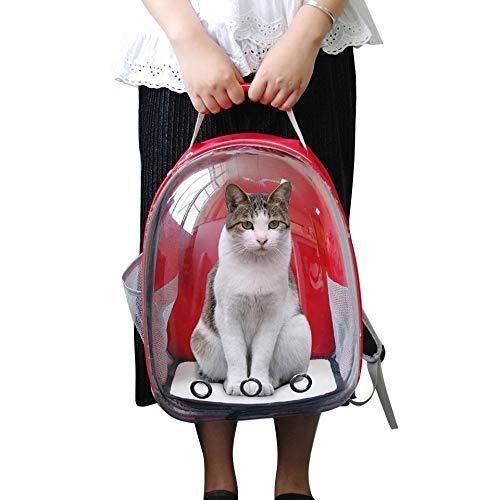 ZooZoo Breathable & Spacious Pet Cat Backpack (400g) - Comfort on the Go (Transparent, Portable, Pack of 1)