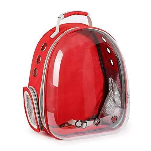 ZooZoo Breathable & Spacious Pet Cat Backpack (400g) - Comfort on the Go (Transparent, Portable, Pack of 1)